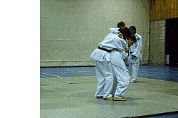 judo technique